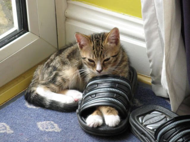 im电竞官网首页-特色城市极限跑酷秀，青年人的街头狂欢，城市极限跑酷游戏