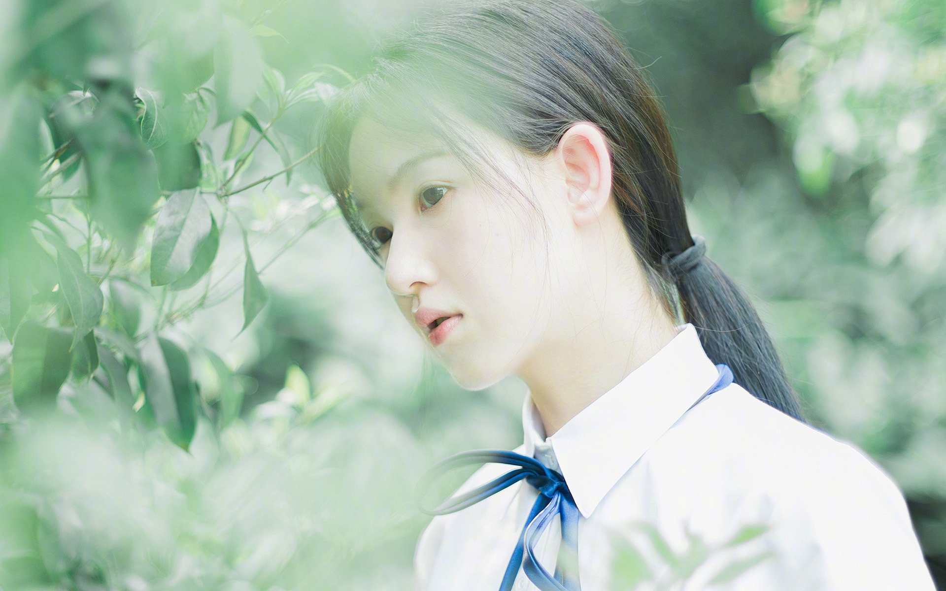 皇室战争“策略王者”全球精英邀请赛火爆进行,皇室战争世界锦标赛