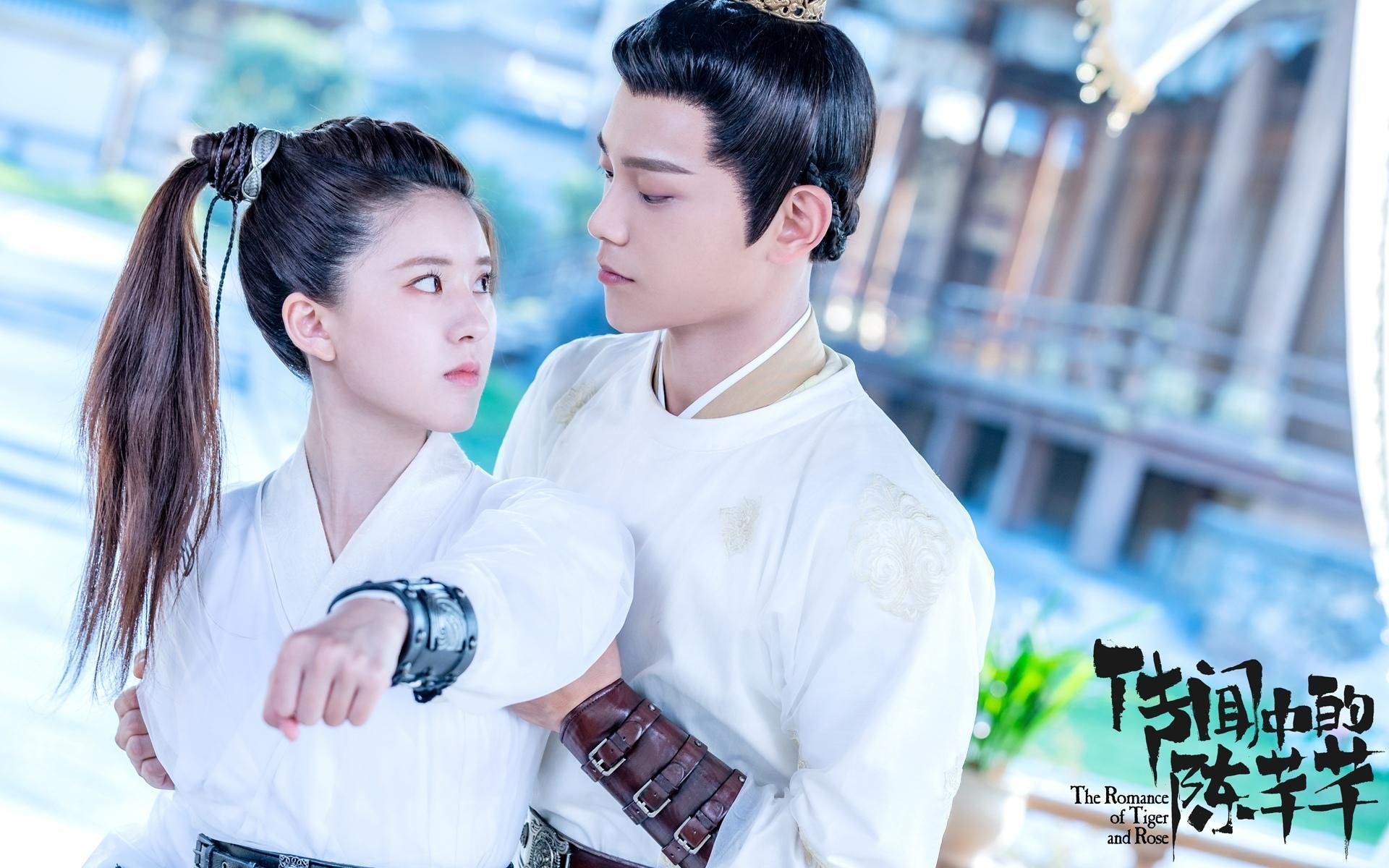 tiyu-im官方网站-绿茵战场：欧洲杯精彩瞬间回顾，欧洲杯经典比赛视频