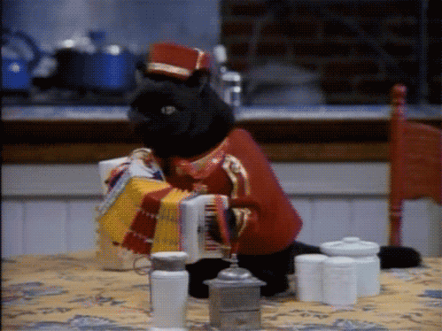 卡塔尔国家队备战全面展开,卡塔尔足球国家队球员效力名单