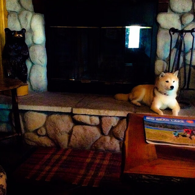 im体育最新安全APP下载-巴西马术队在巴黎奥运会三项赛团体决赛中获得银牌，展现出色表现。