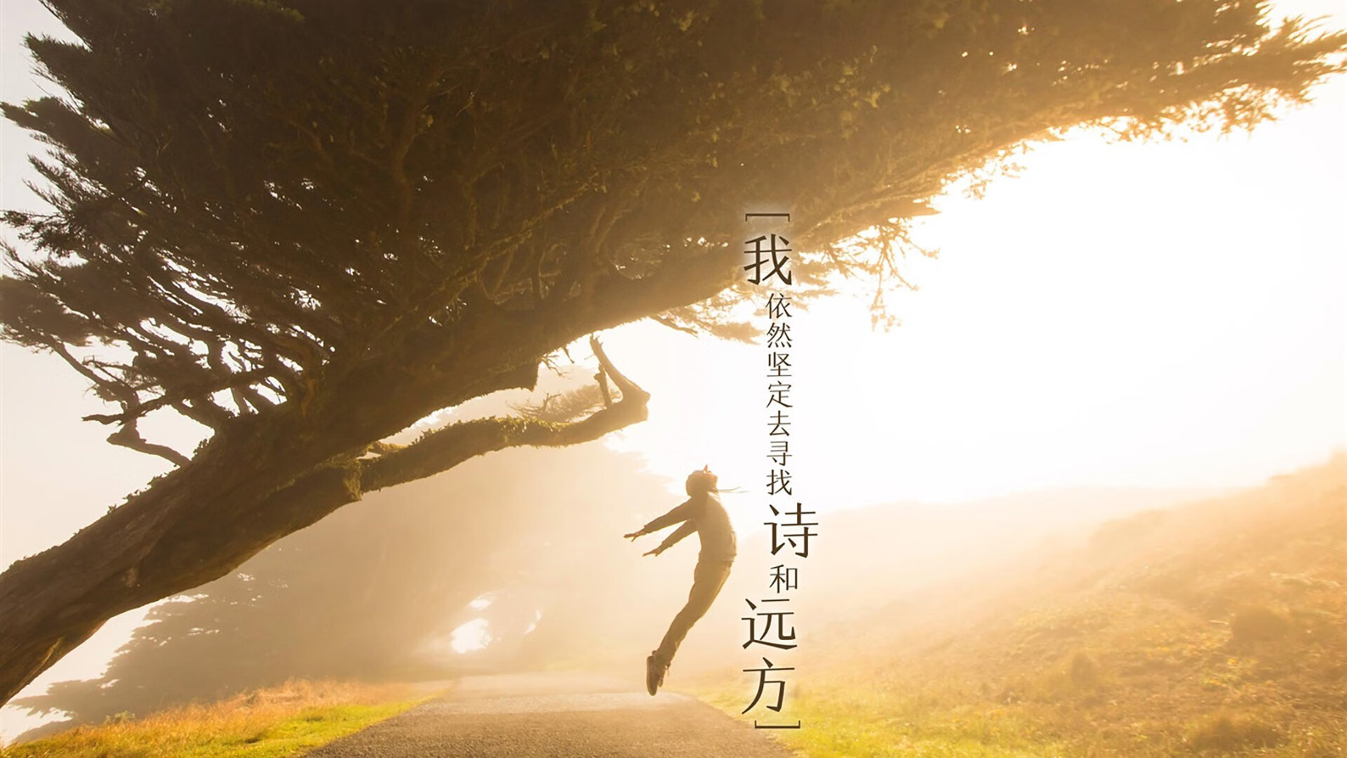 斯图加特主场战平，艰难保持不败，斯图加特转会