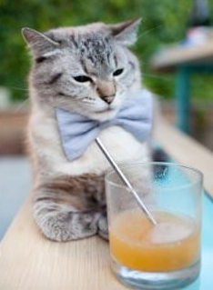 热刺在欧联杯中夺得冠军，结束17年无冠历史，热刺欧联杯排名