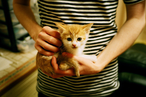 im电竞官网登录-中国篮球联赛球队战术创新及实战应用案例分析，篮球技术创新