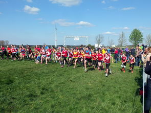 im体育官方平台-青少年体育活动参与动机分析与提升，青少年体育活动参与动机分析与提升研究