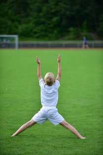 IM体官网-高校运动训练计划动态调整机制研究，运动训练调控