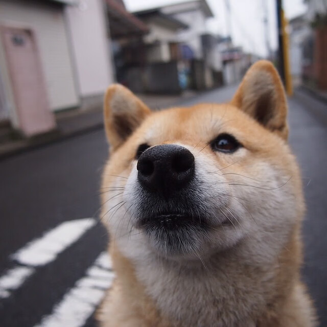 im体育在线登录入口地址-五大联赛积分榜变化频率是否与战术转型同步，五大联赛积分最高纪录