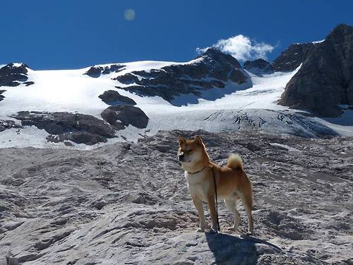 国家队长期缺乏左路突击型选手,国家队长期缺乏左路突击型选手会怎么样