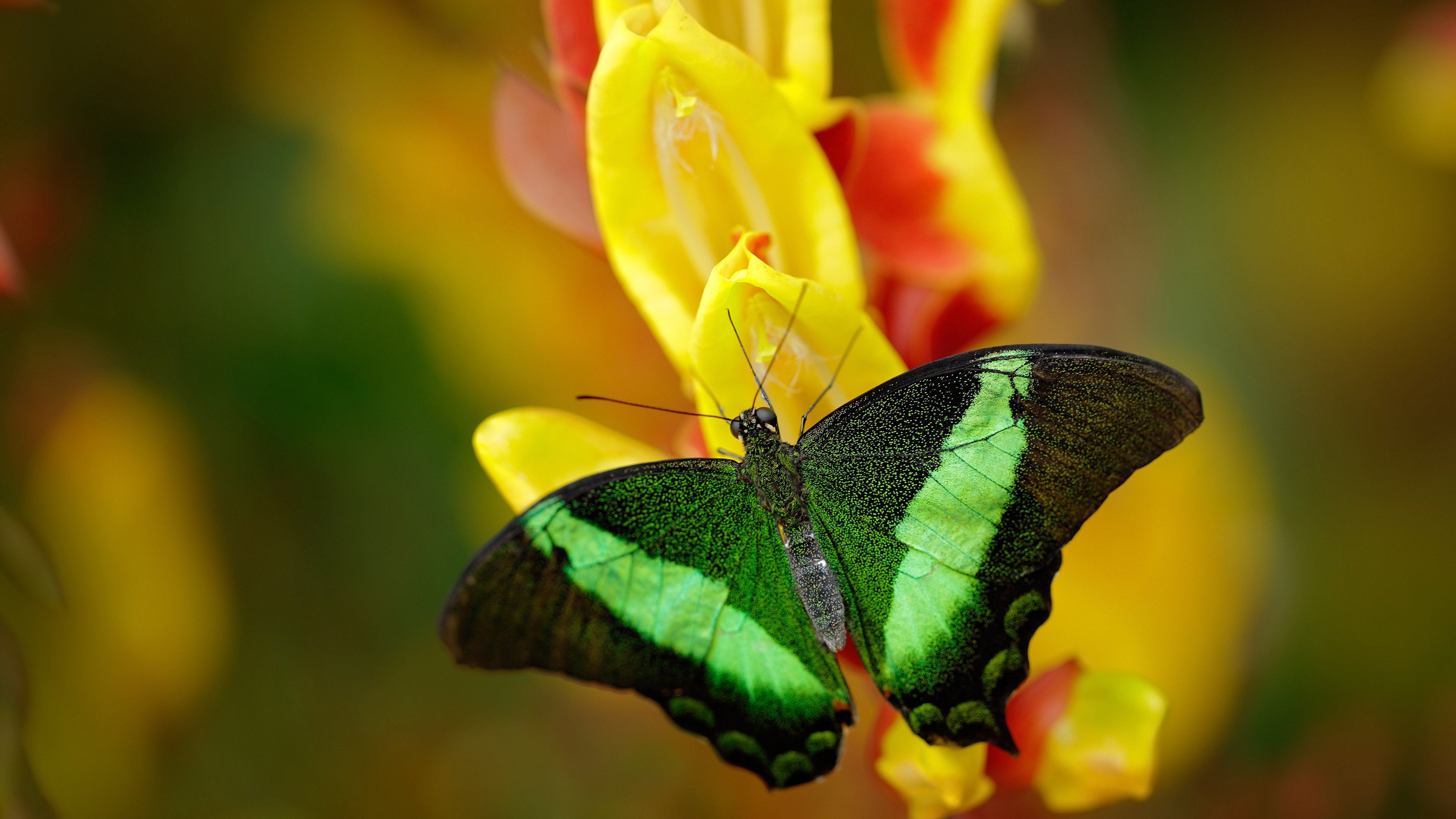tiyu-imAPP下载-基层教练执教路径断档明显，基层教练执教路径断档明显怎么办