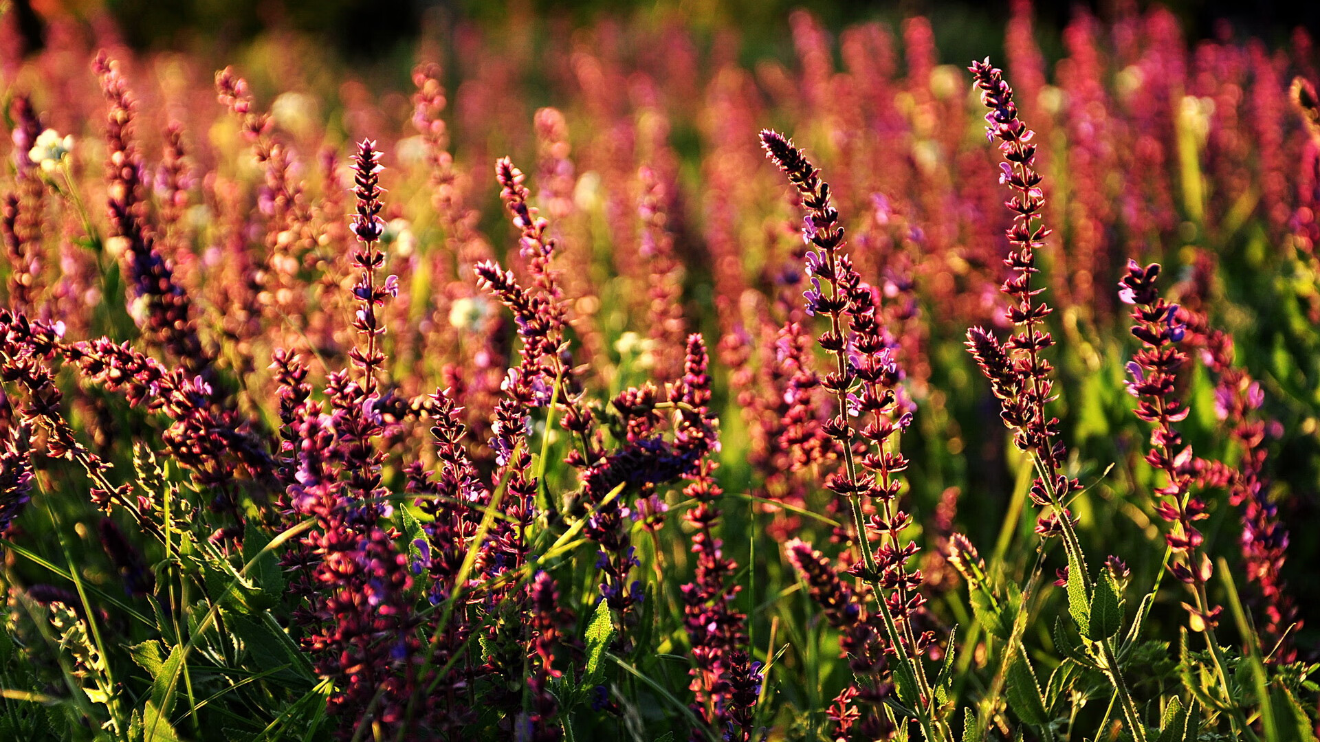 im体育下载-青训成果未纳入职业评级体系，青训成果未纳入职业评级体系的原因