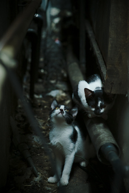 地方赛事奖金机制优化吸引更多社会力量参与竞技平台,比赛奖金发放时间标准