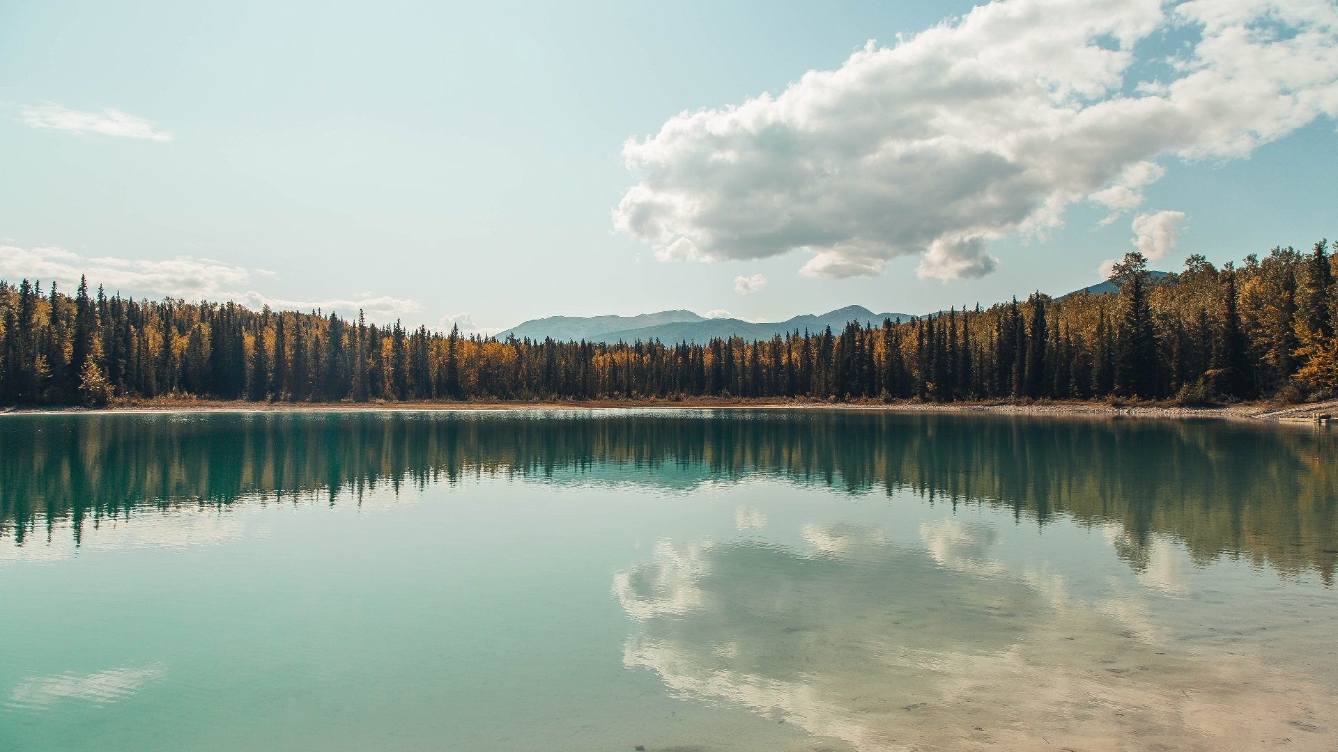 意甲逆转战:全场最精彩的卧底逆袭,意甲转会最新全一览
