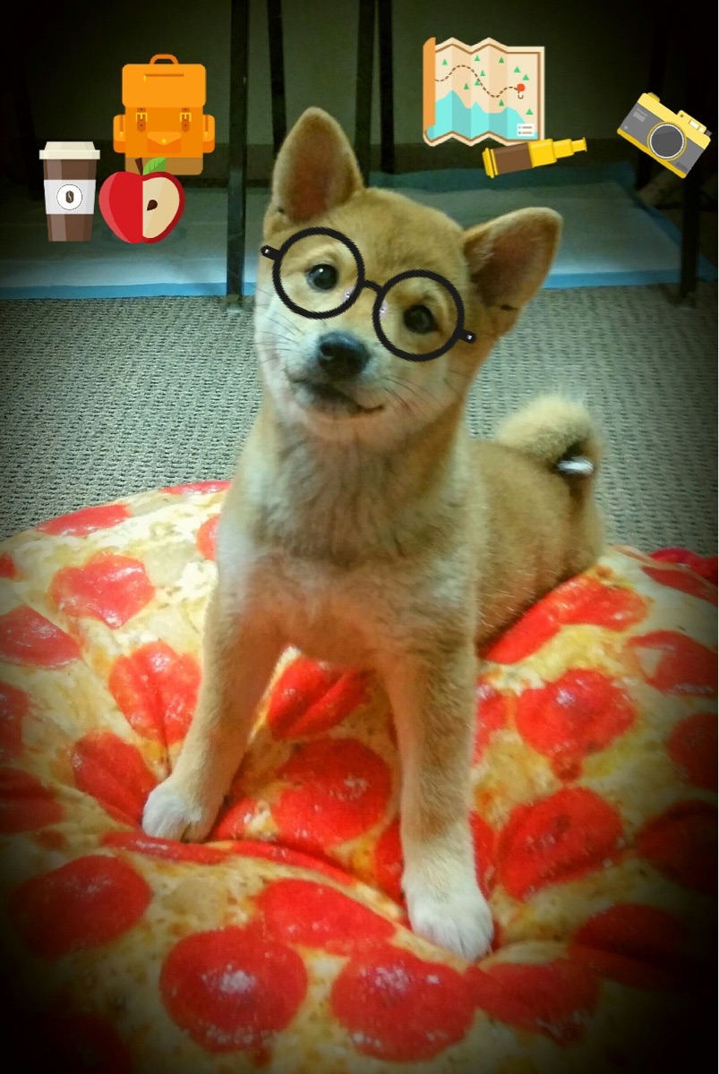 英超激烈争夺，豪门鏖战不断